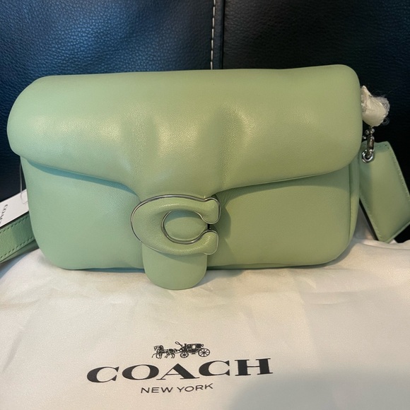 Coach pillow tabby - Picture 6 of 6